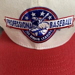 Vintage New Era Professional Baseball The Minor Leagues Office Depot Hat/Cap